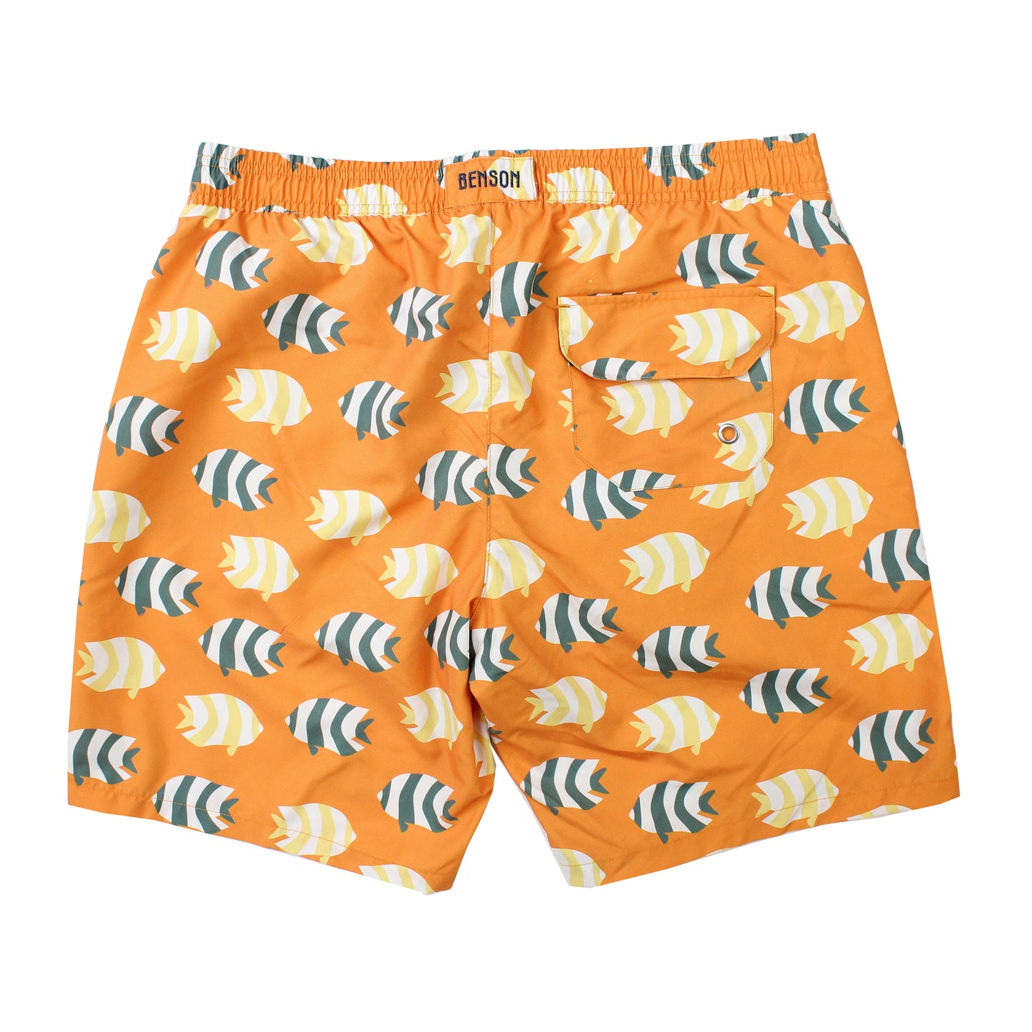 7 Mile Orange Fish Swim